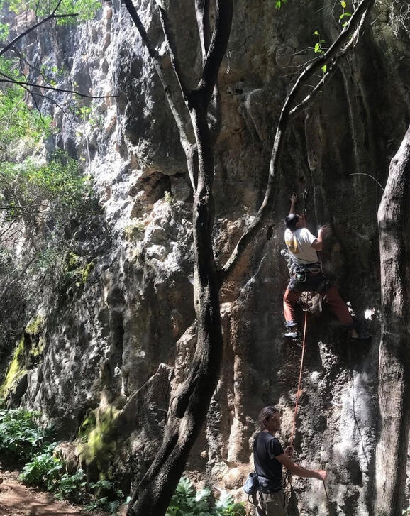 Acompanhamentos de diferentes modalidades como escalada, dança e entre outras